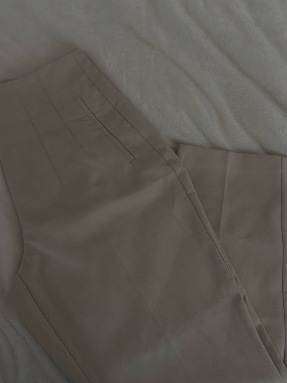 Zara Women Dress Pants in Taupe Beige